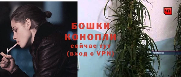 наркотики Бородино