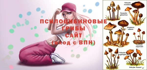 наркотики Бородино